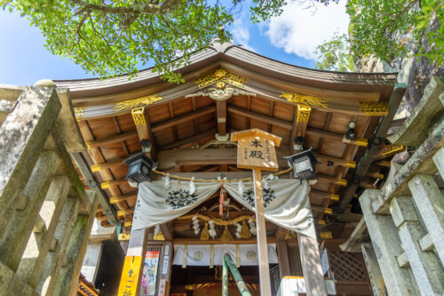 太郎坊宮　本殿画像