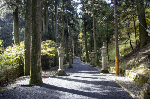 比叡山 西塔参道画像