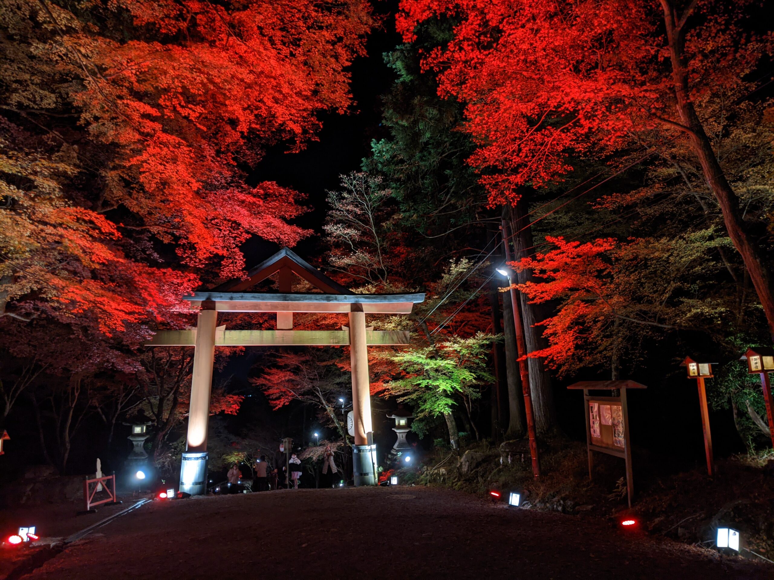 日吉大社　ライトアップ画像