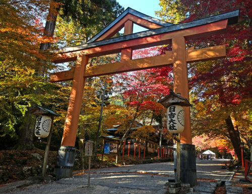 日吉大社　画像