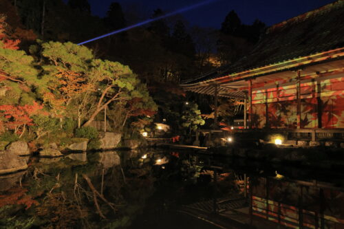 百済寺ライトアップ画像