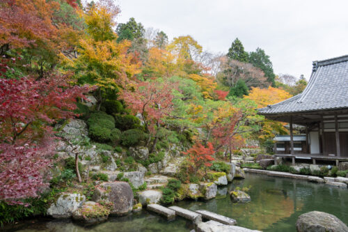 百済寺　池と紅葉画像