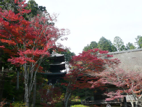 常楽寺 滋賀 画像