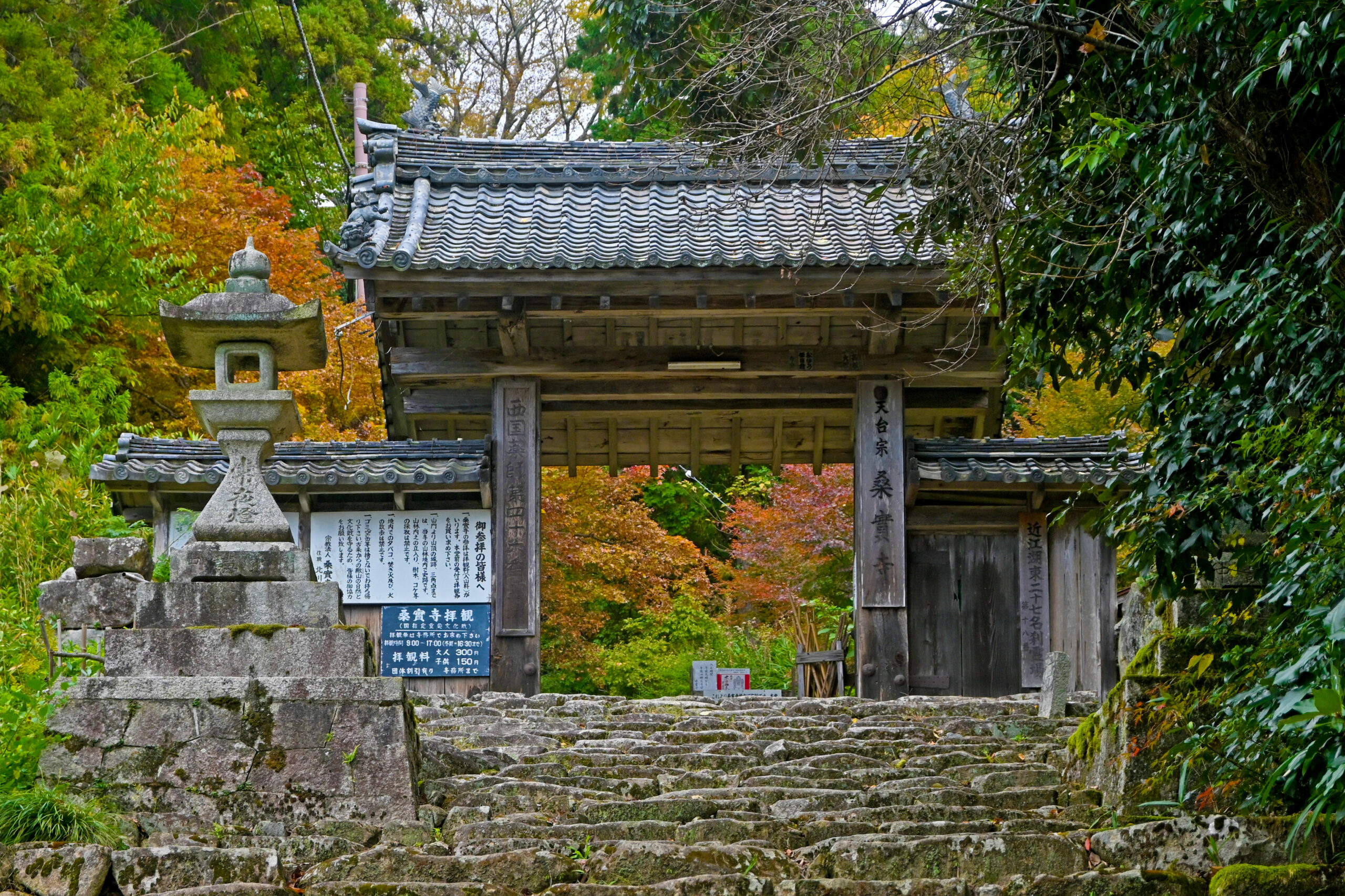 桑実寺門アップ画像