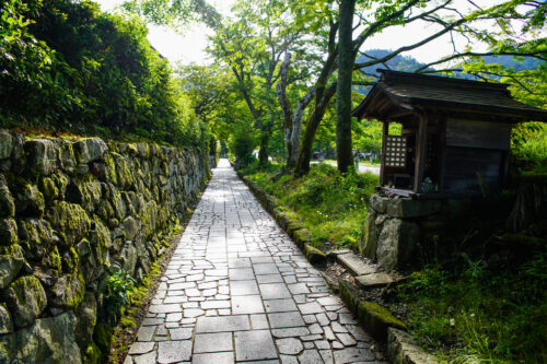 旧竹林院 穴太衆積 石垣画像