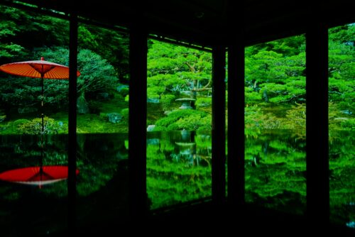 旧竹林リフレクション画像