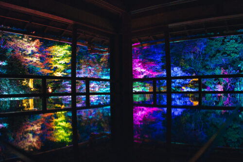旧竹林院 リフレクションライトアップ画像