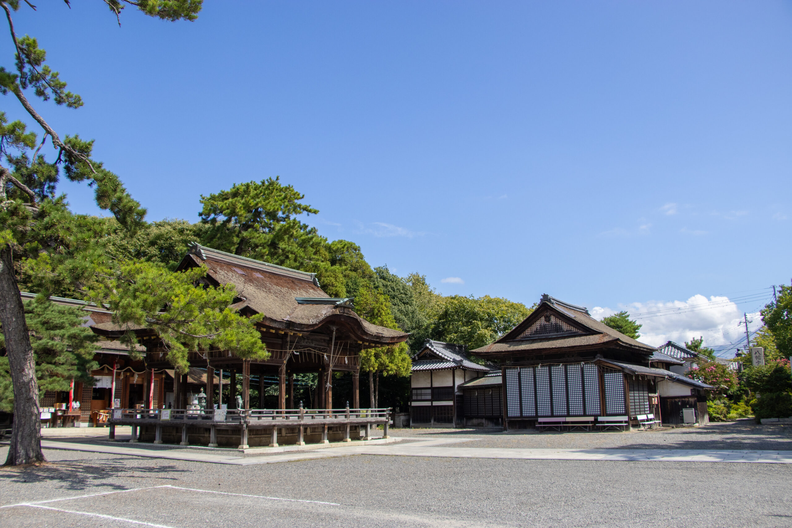 長浜八幡宮 境内内全体画像