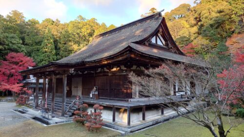 西明寺　本堂 画像