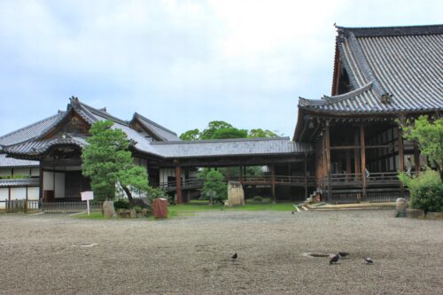 大通寺 境内内アップ画像
