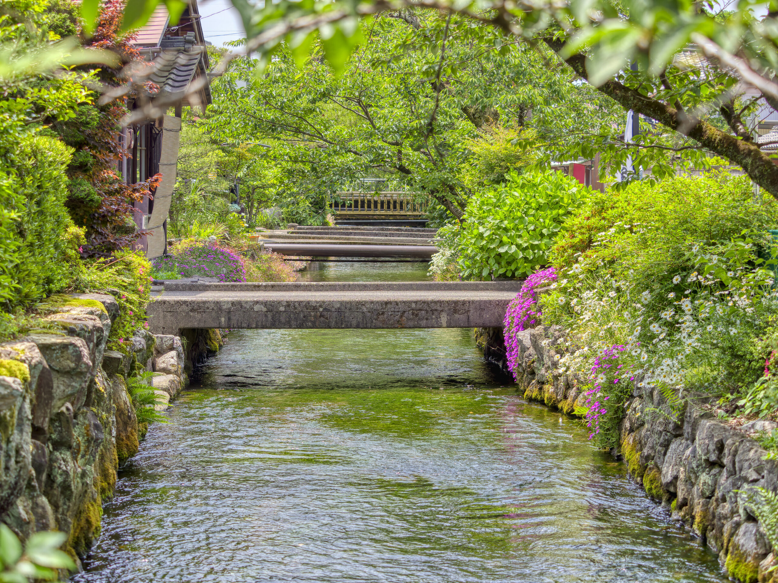 醒井宿　風景画像