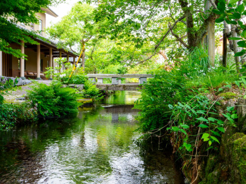 醒井宿 地蔵川 画像