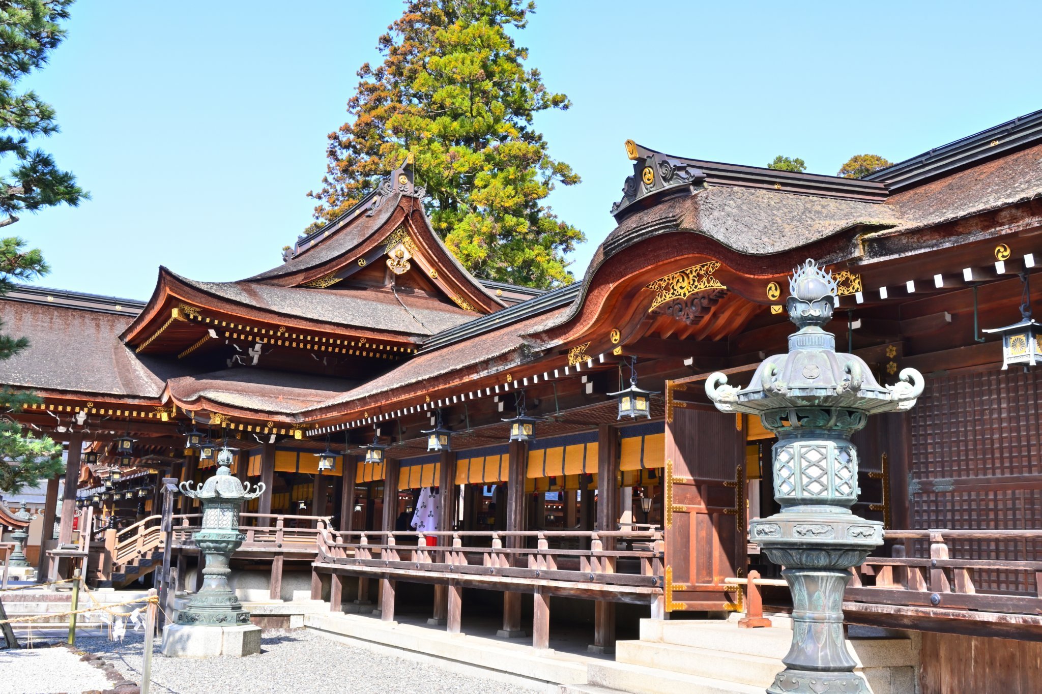 多賀大社拝殿画像