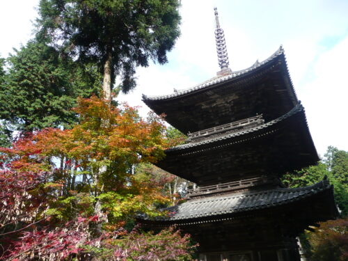 滋賀常楽寺三重塔画像