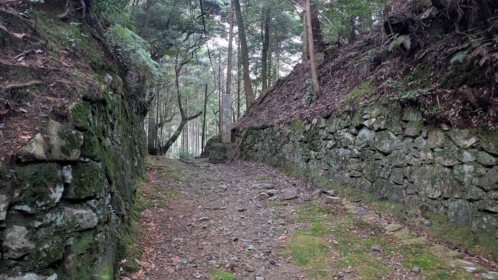 滋賀 大津 安楽律院 山道 景色