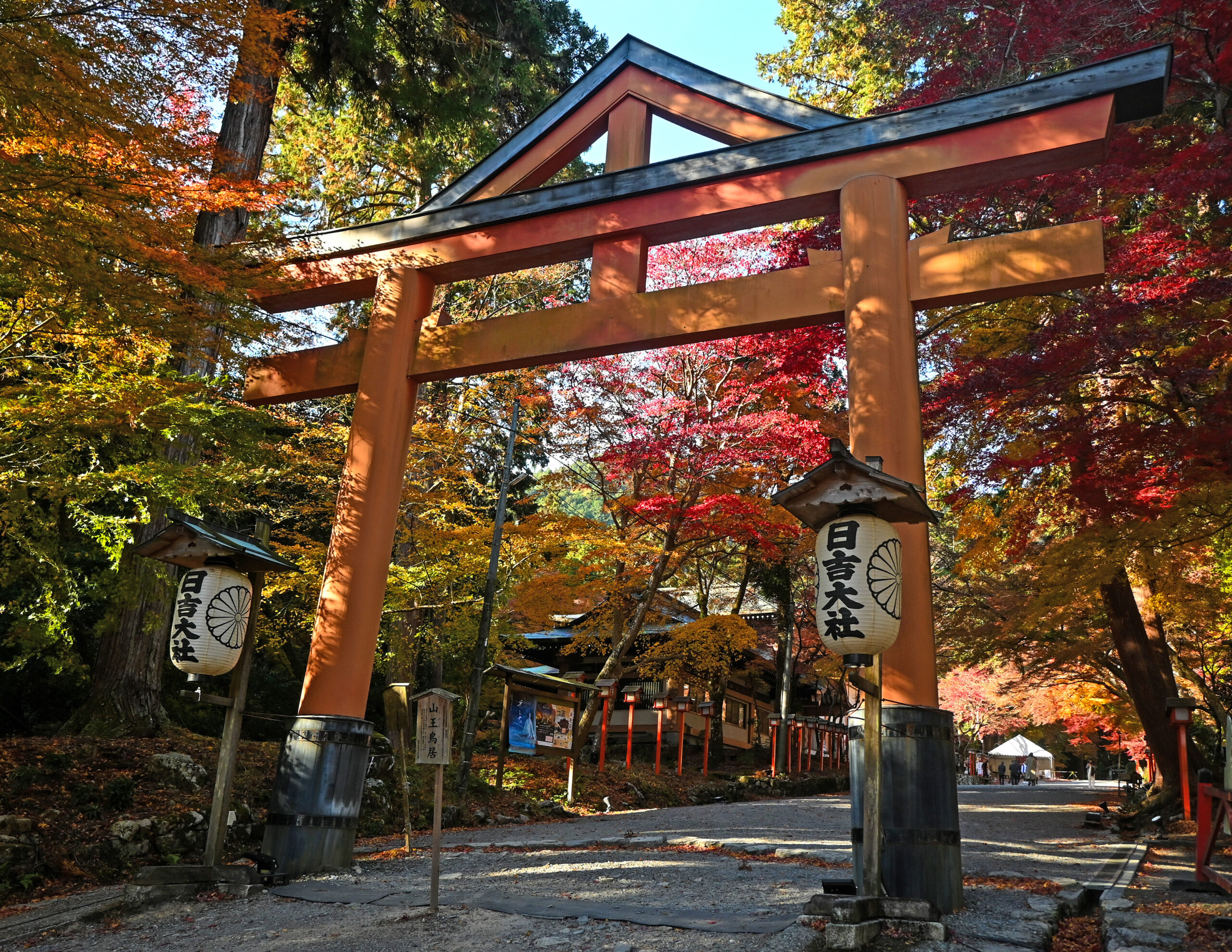 日吉大社　画像