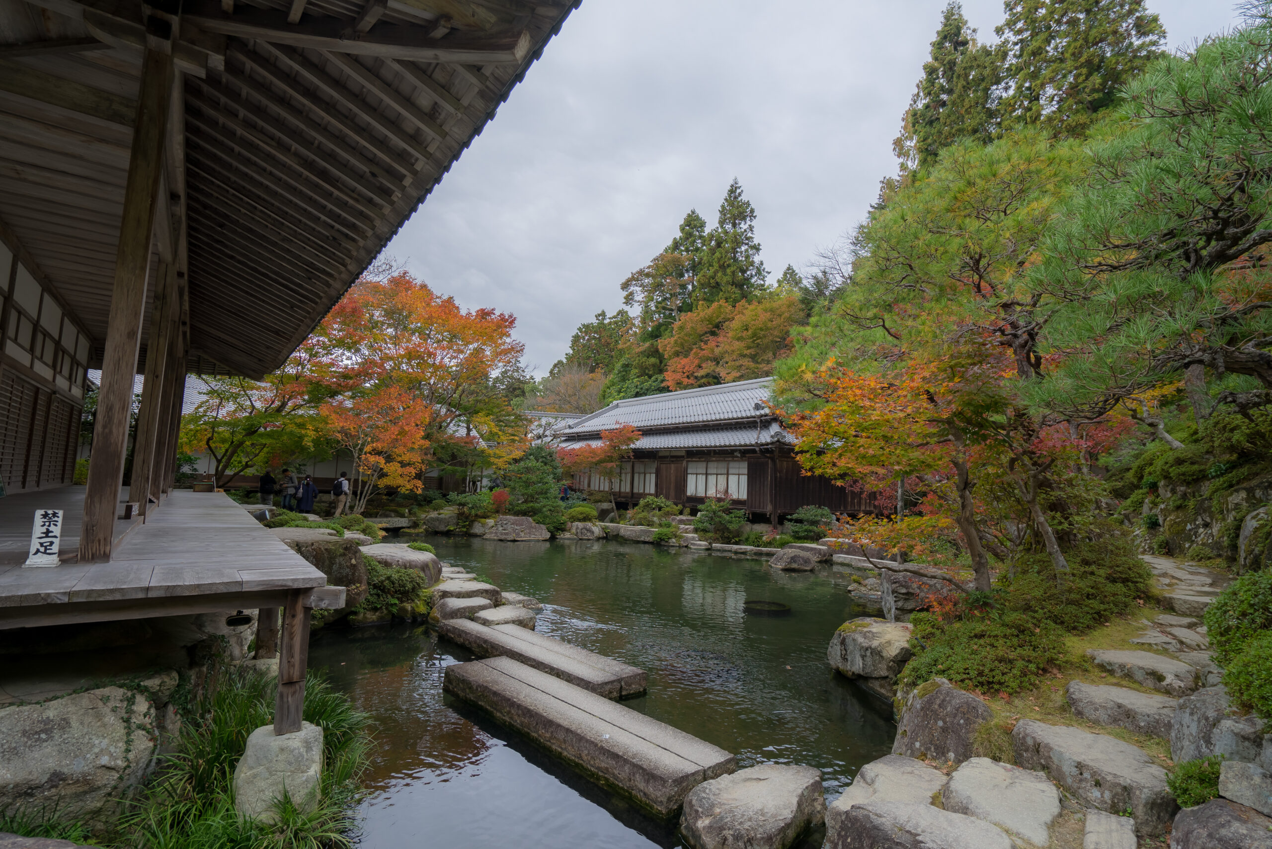 百済寺 境内内池画像