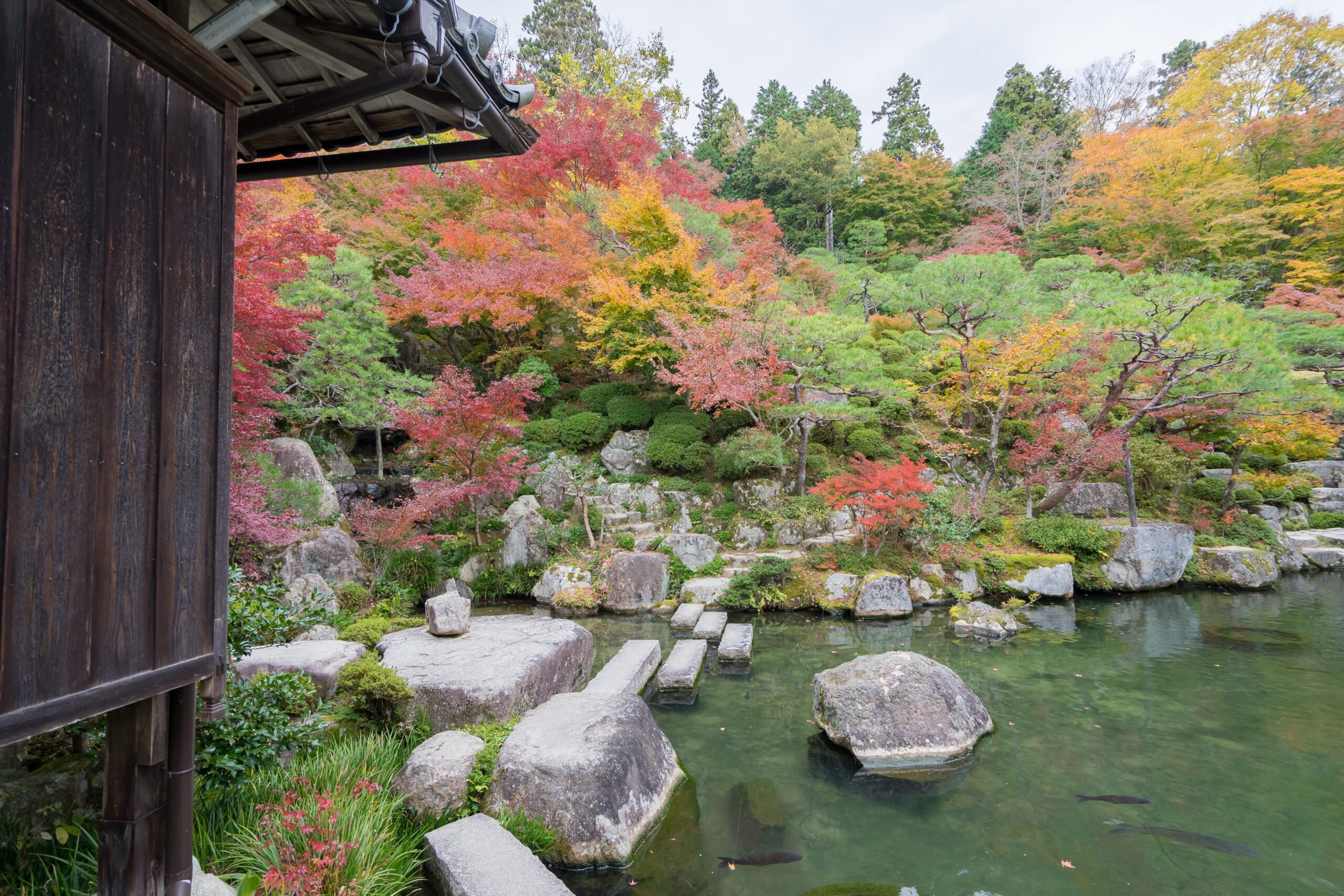 百済寺 境内内　紅葉画像