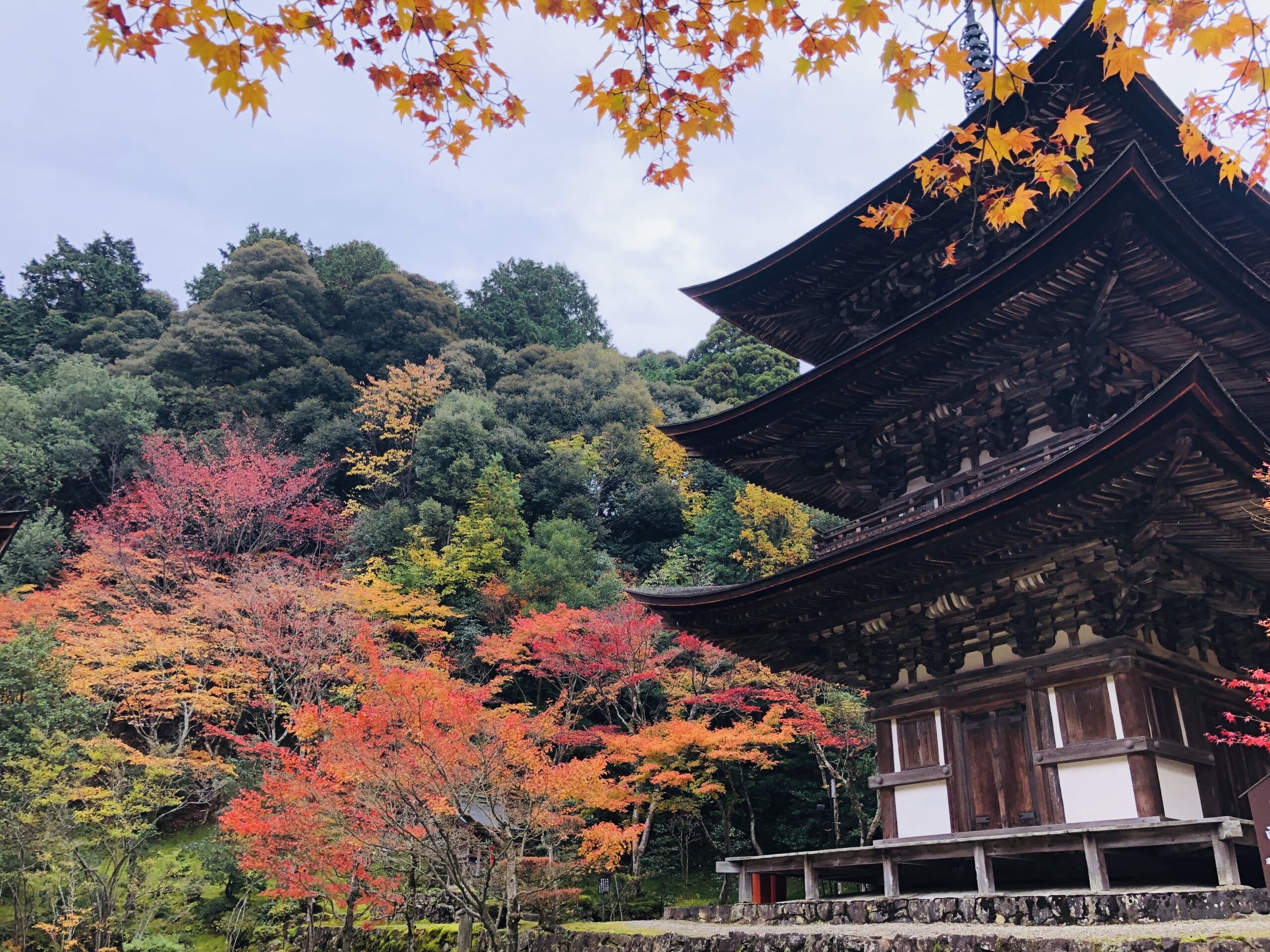 金剛輪寺 三重塔画像