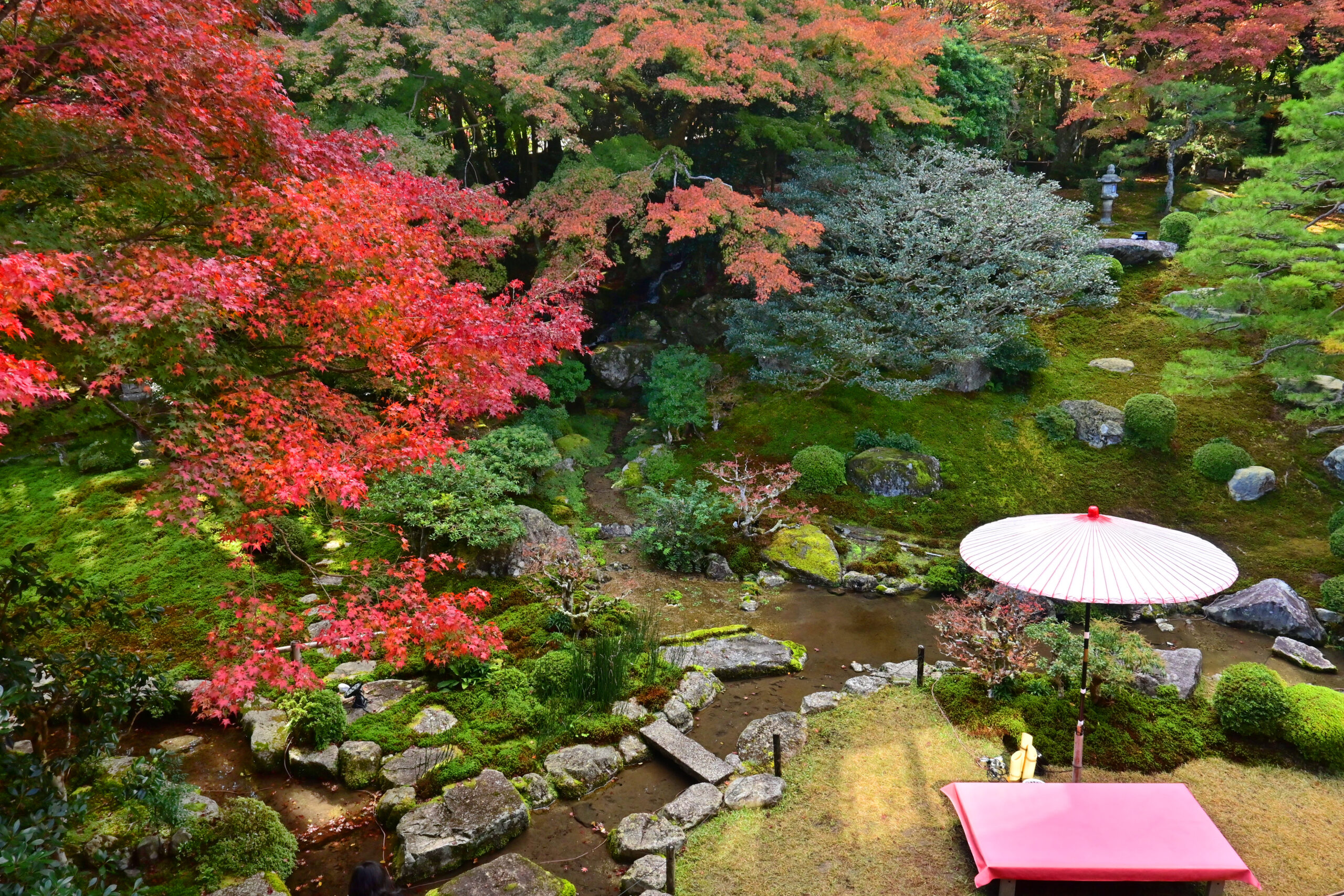 旧竹林院　滋賀　上から画像