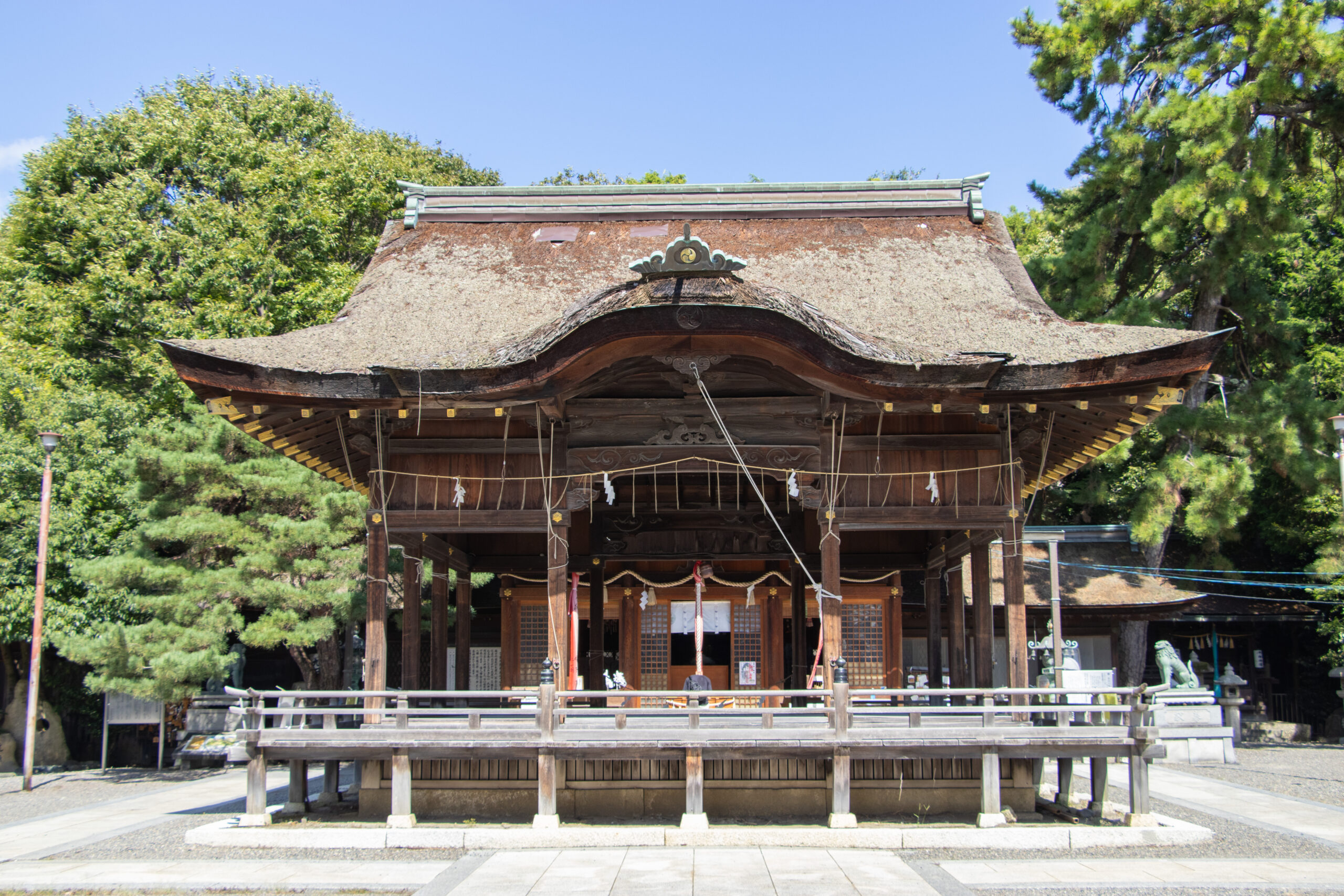 長浜八幡宮 本殿画像