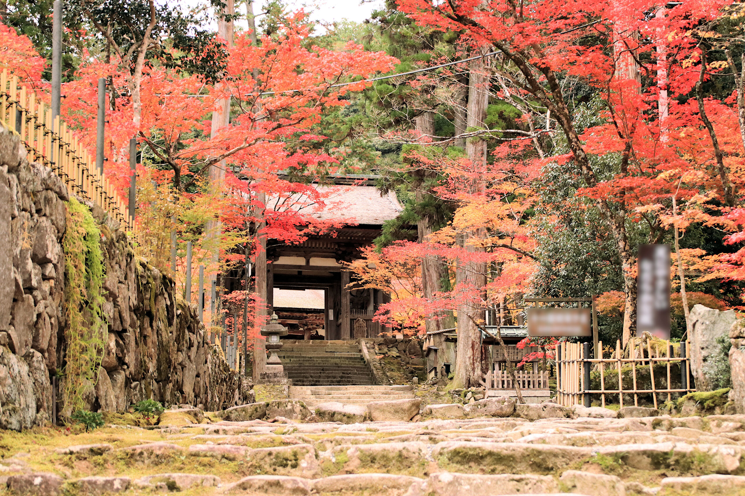 西明寺 山門 紅葉画像
