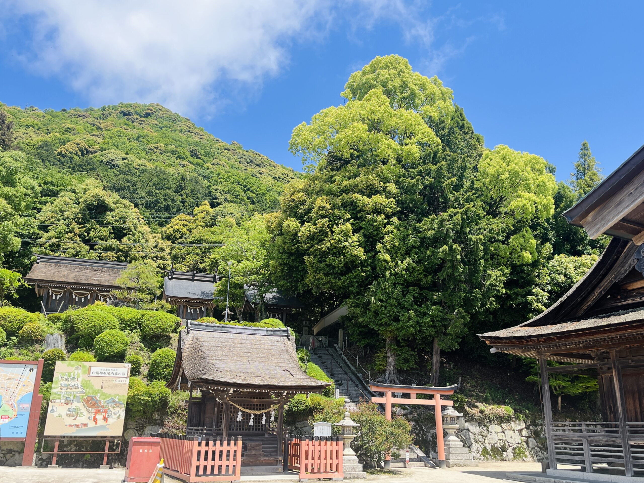 白髭神社 境内内画像
