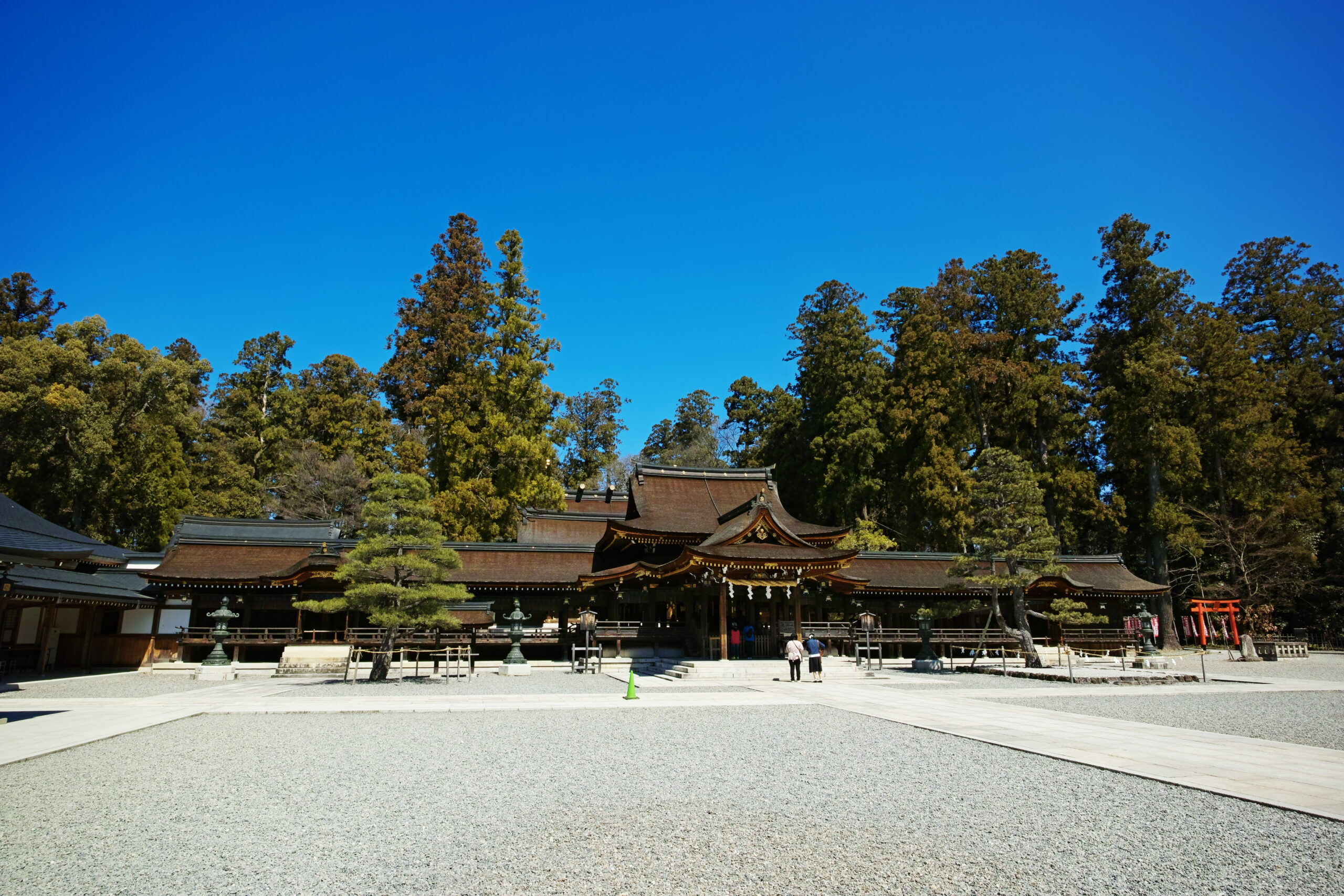 多賀大社　全体画像