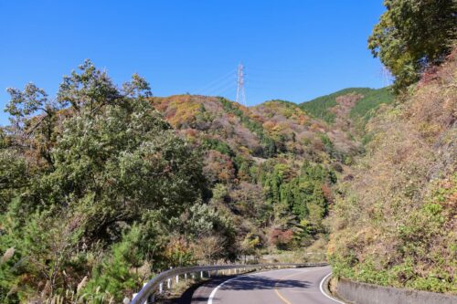 伊吹山ドライブウエイ画像