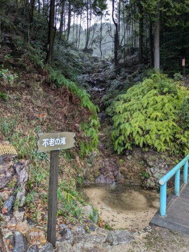滋賀 湖南 妙感寺 不老の滝