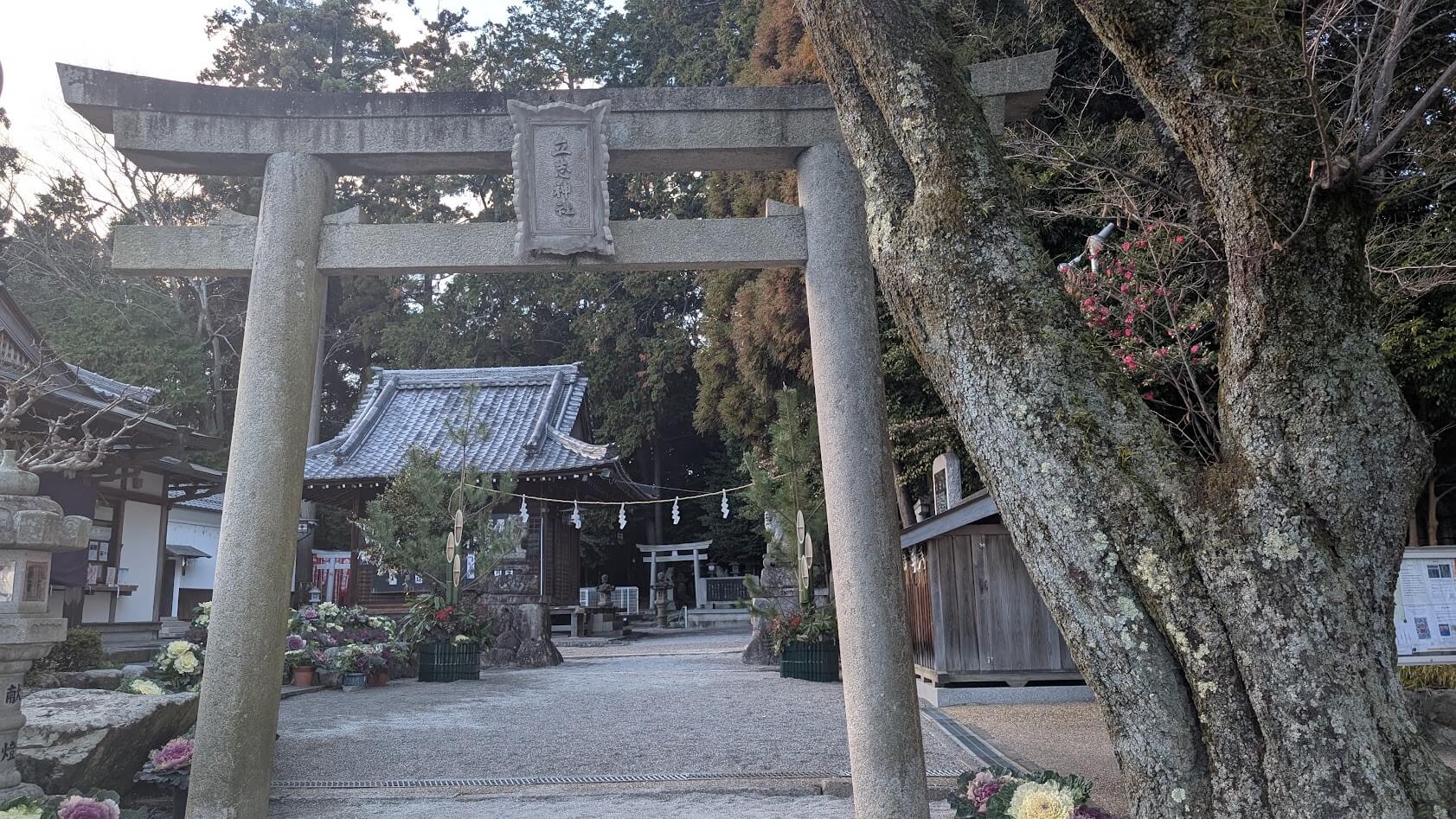 滋賀 湖南市 立志神社 鳥居と境内