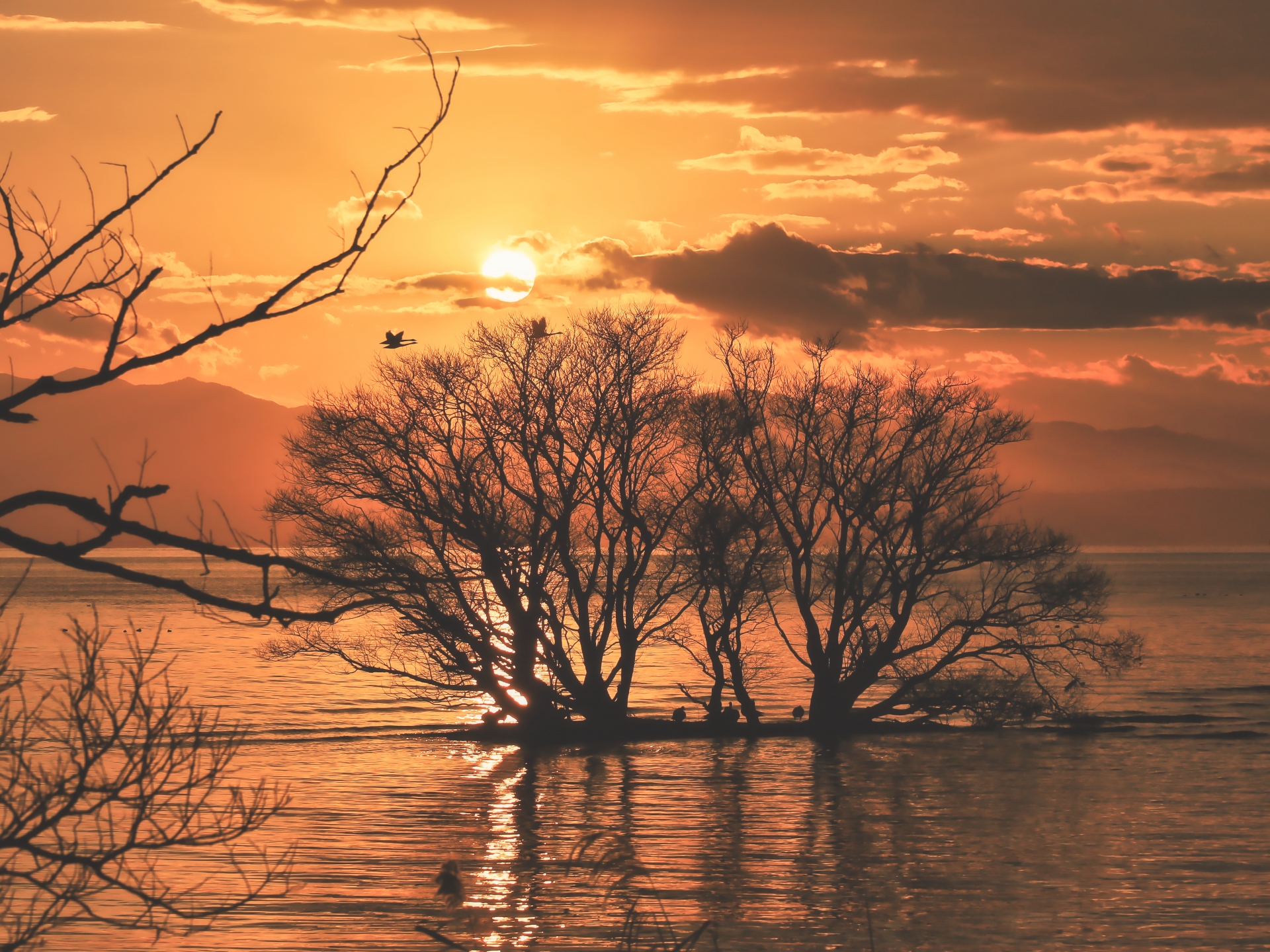 琵琶湖　夕景の画像