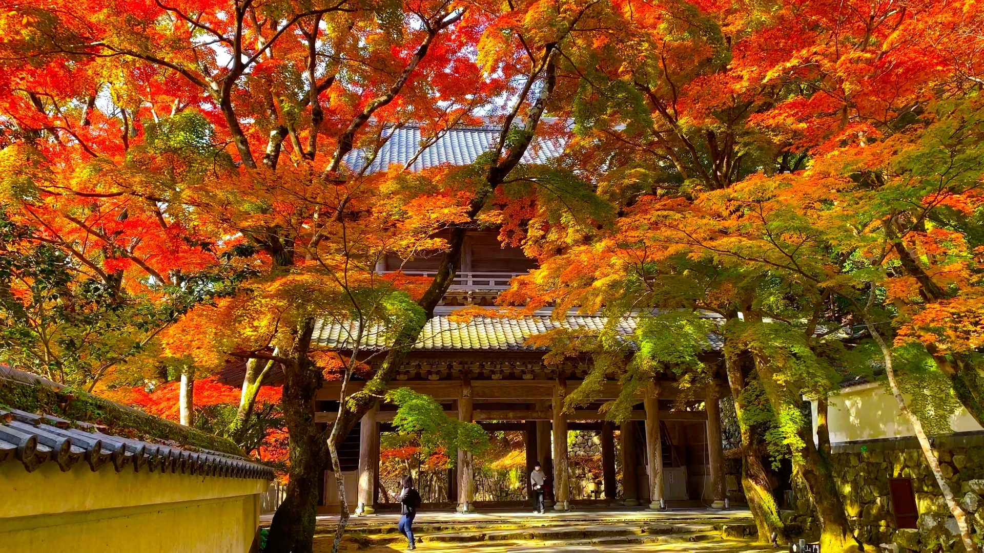 永源寺　山門画像