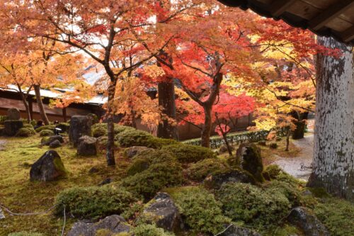 永源寺庭園画像