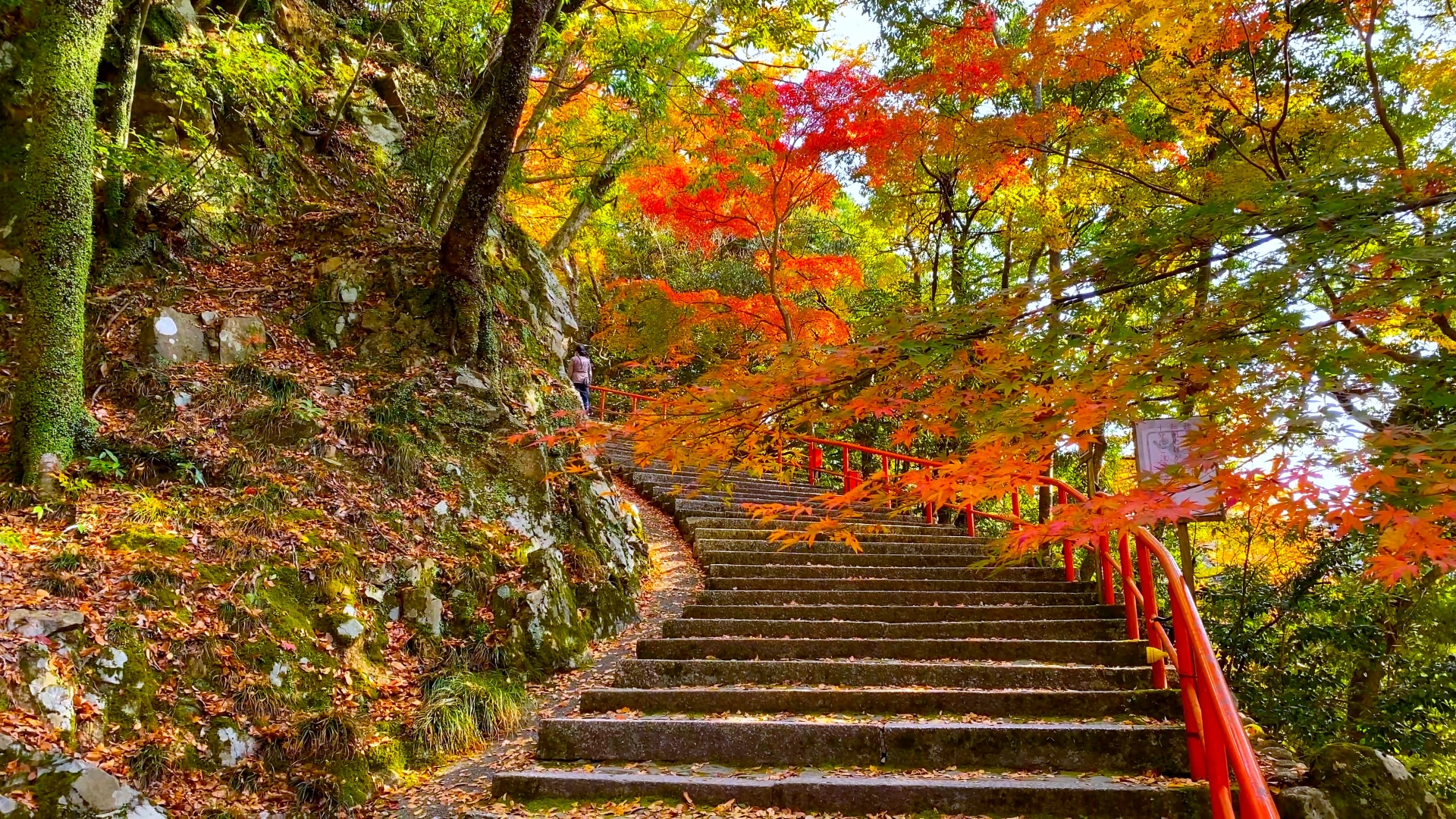 永源寺　石段紅葉画像