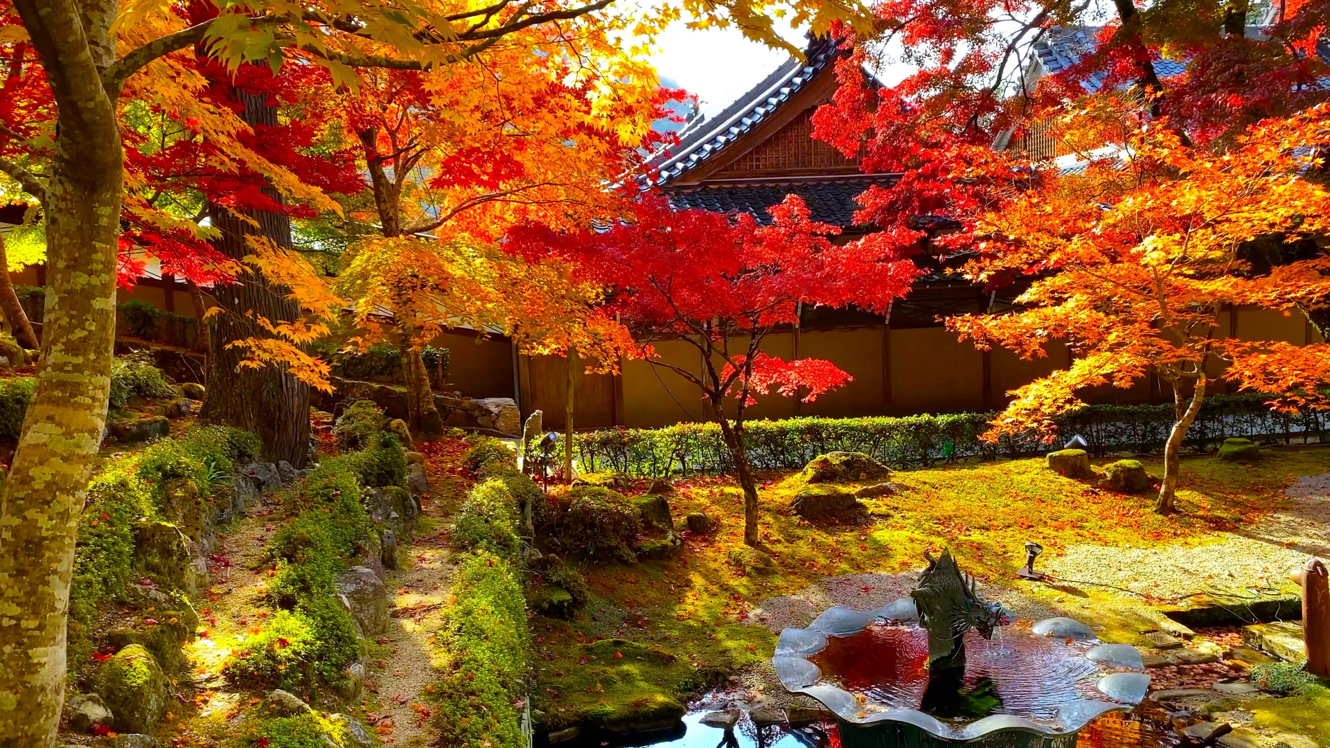 永源寺境内紅葉画像