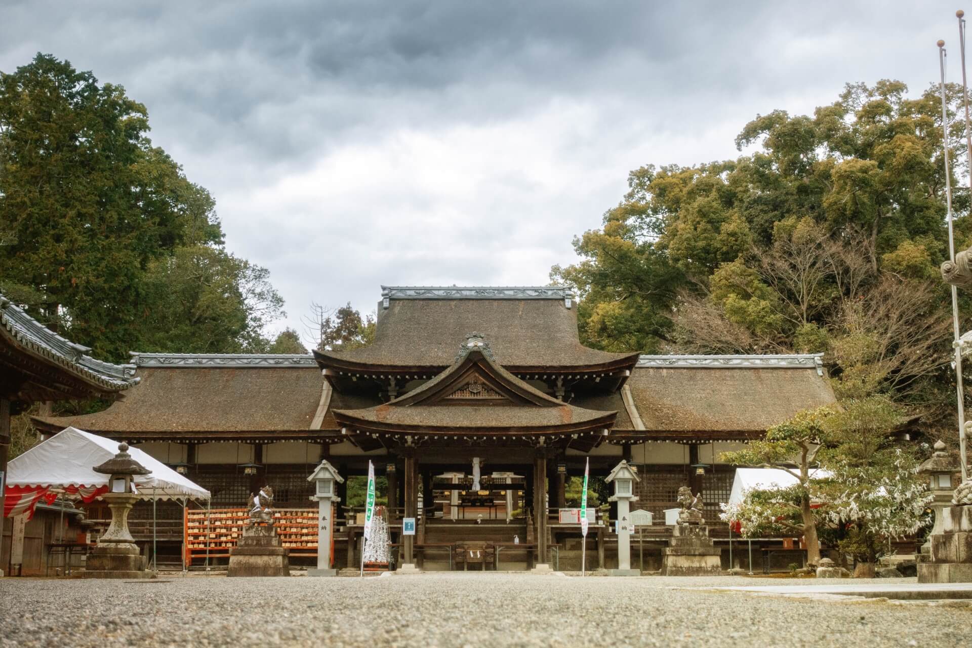 兵主大社　本殿画像