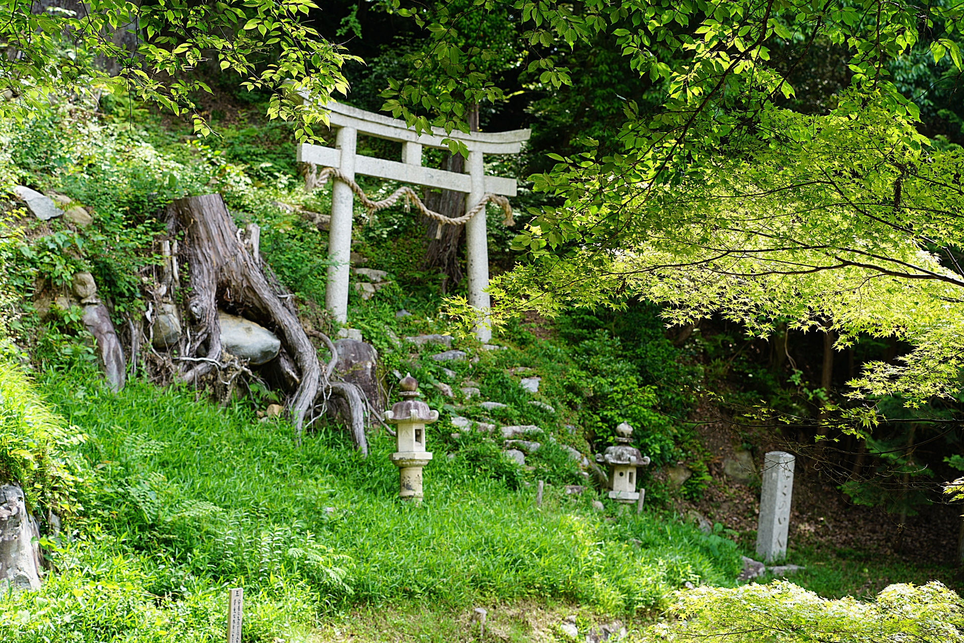 観音正寺　鳥居画像