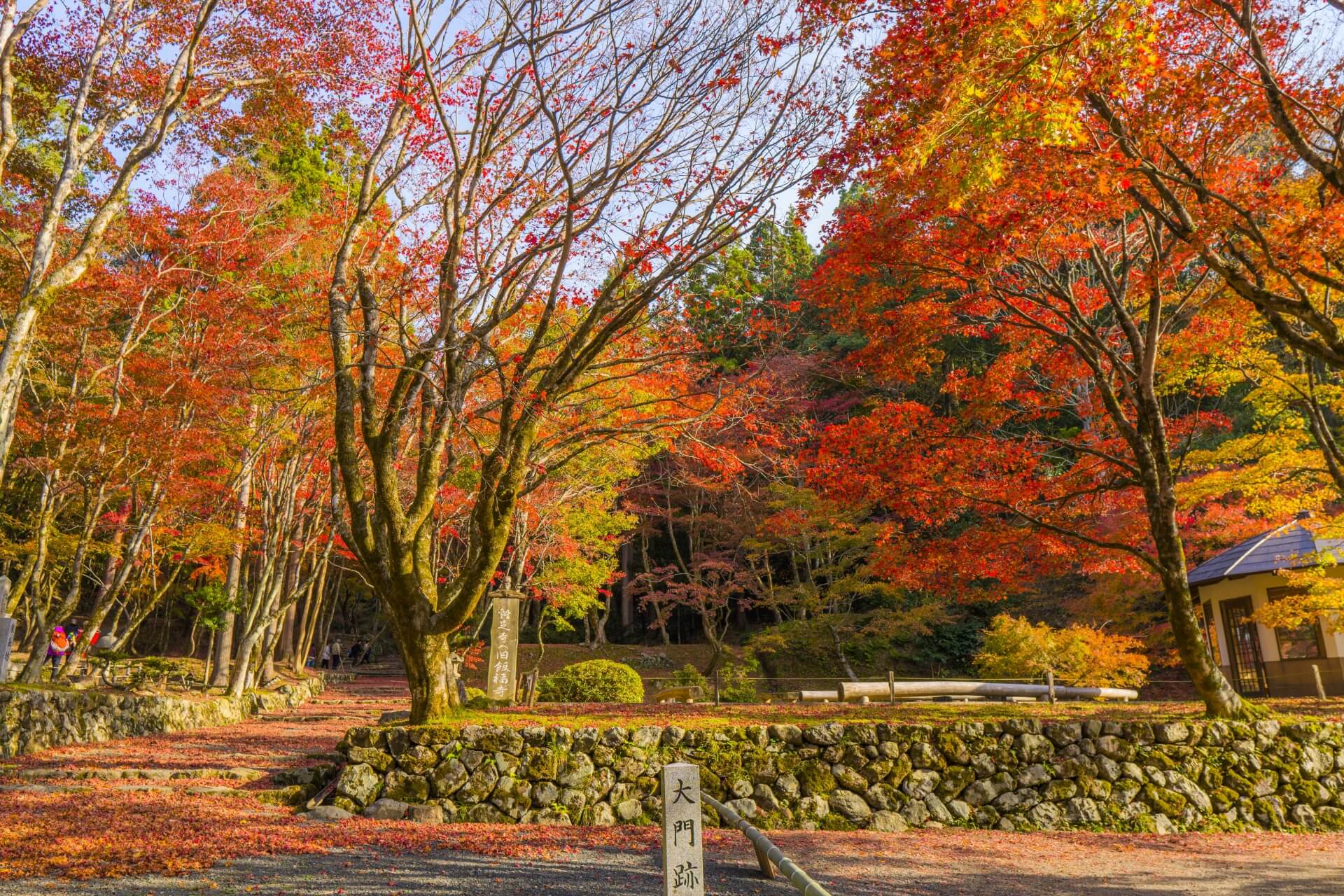 滋賀 鶏足寺　入口紅葉画像