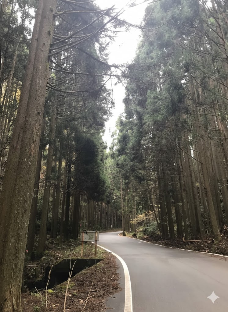 険しい山道イメージ画像