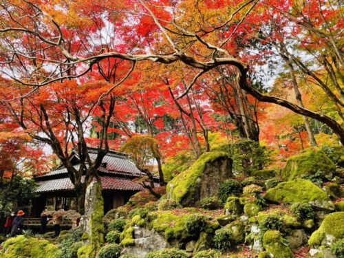 教林坊 境内画像