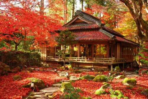 教林坊 全体画像 紅葉