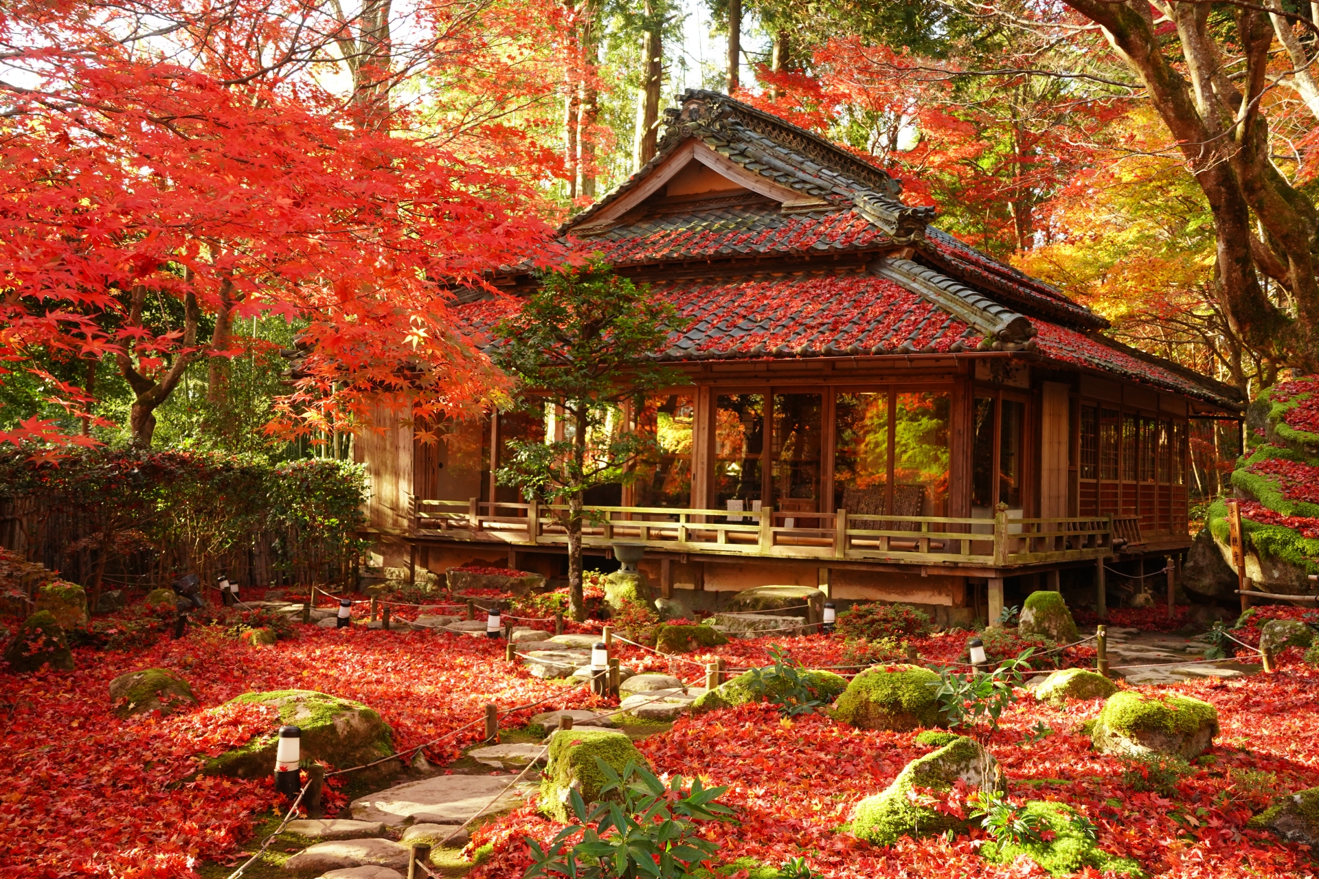 教林坊　全体画像　紅葉