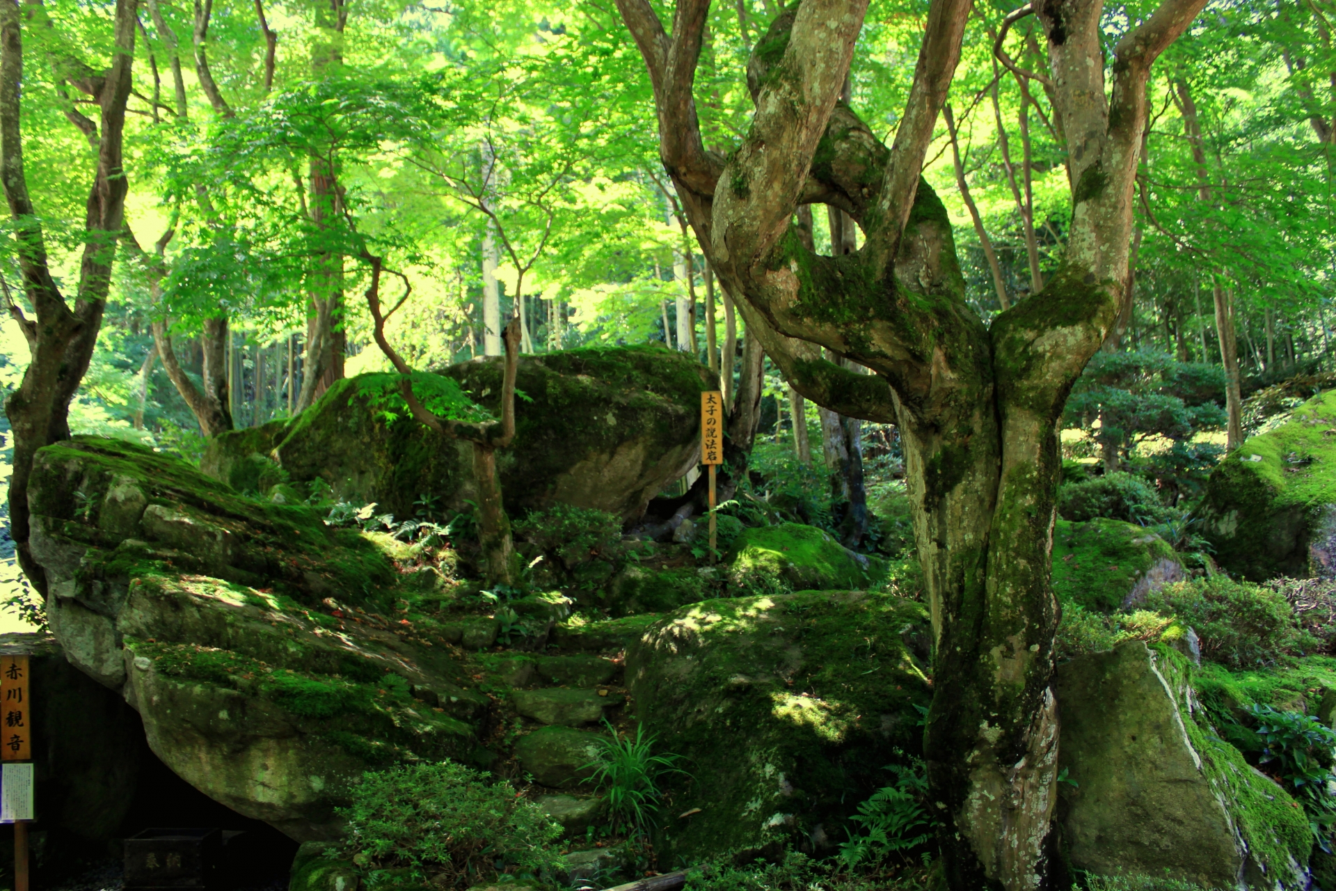 教林坊春の画像