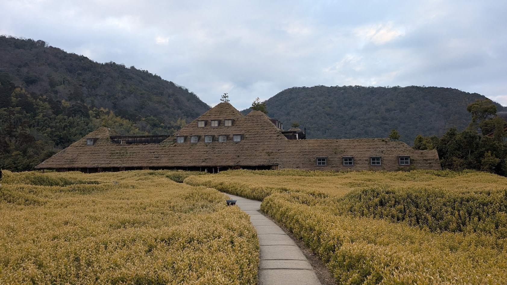 ラ コリーナ近江八幡(たねや)草屋根(メインショップ)