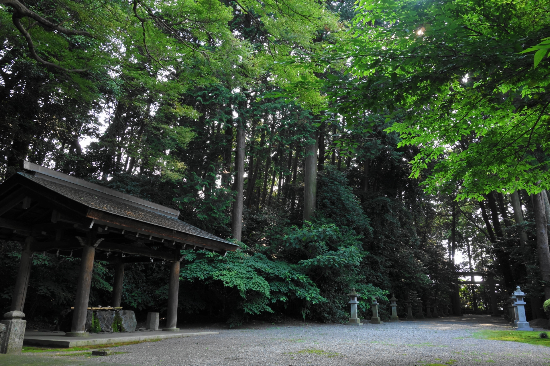 御上神社　境内内画像