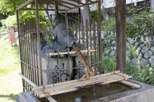 三尾神社　ウサギ画像