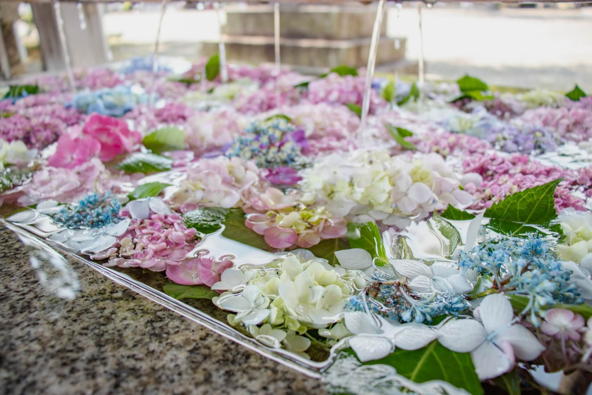 長浜八幡宮　手水画像