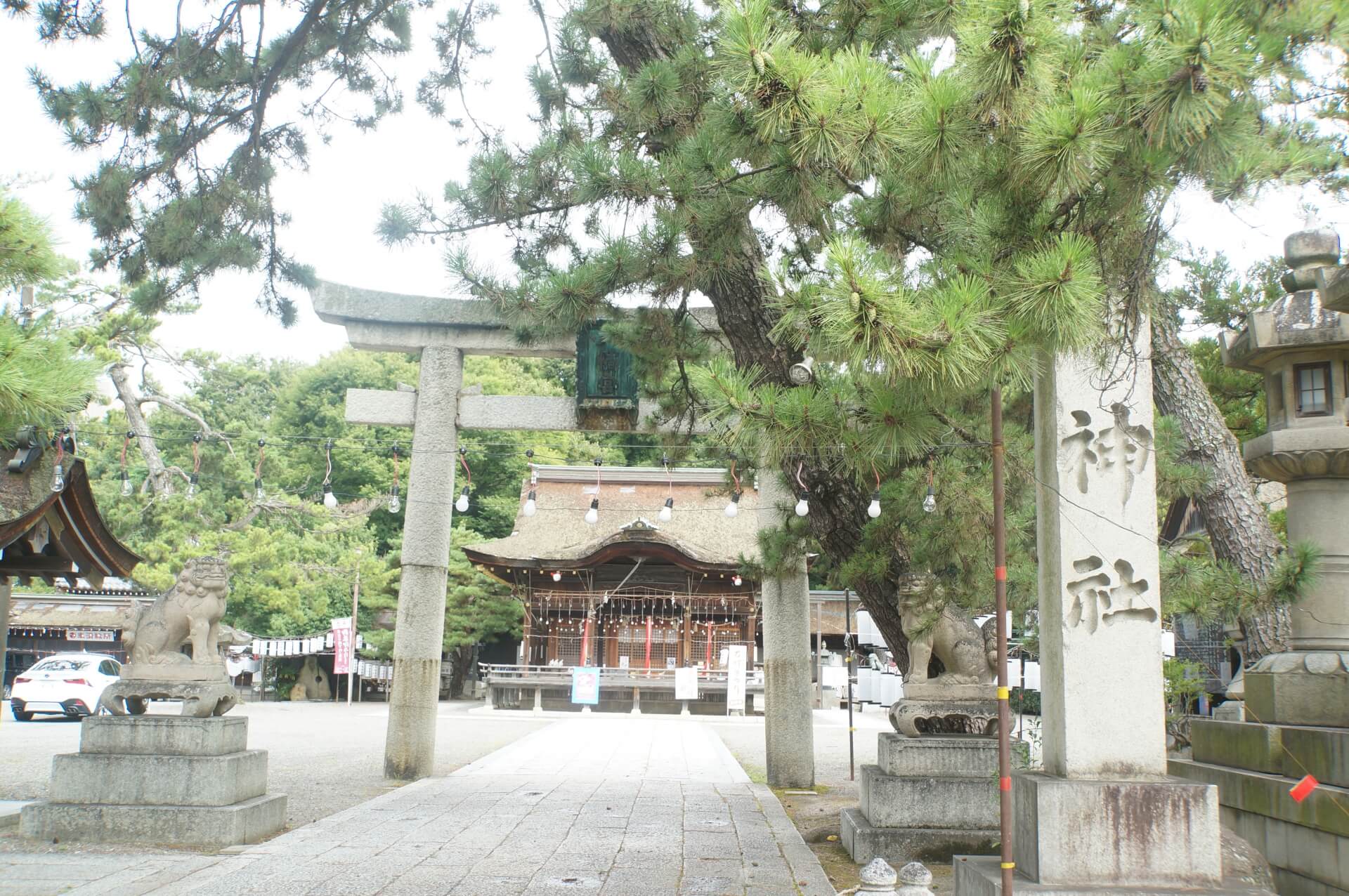 長浜八幡宮　鳥居と拝殿画像