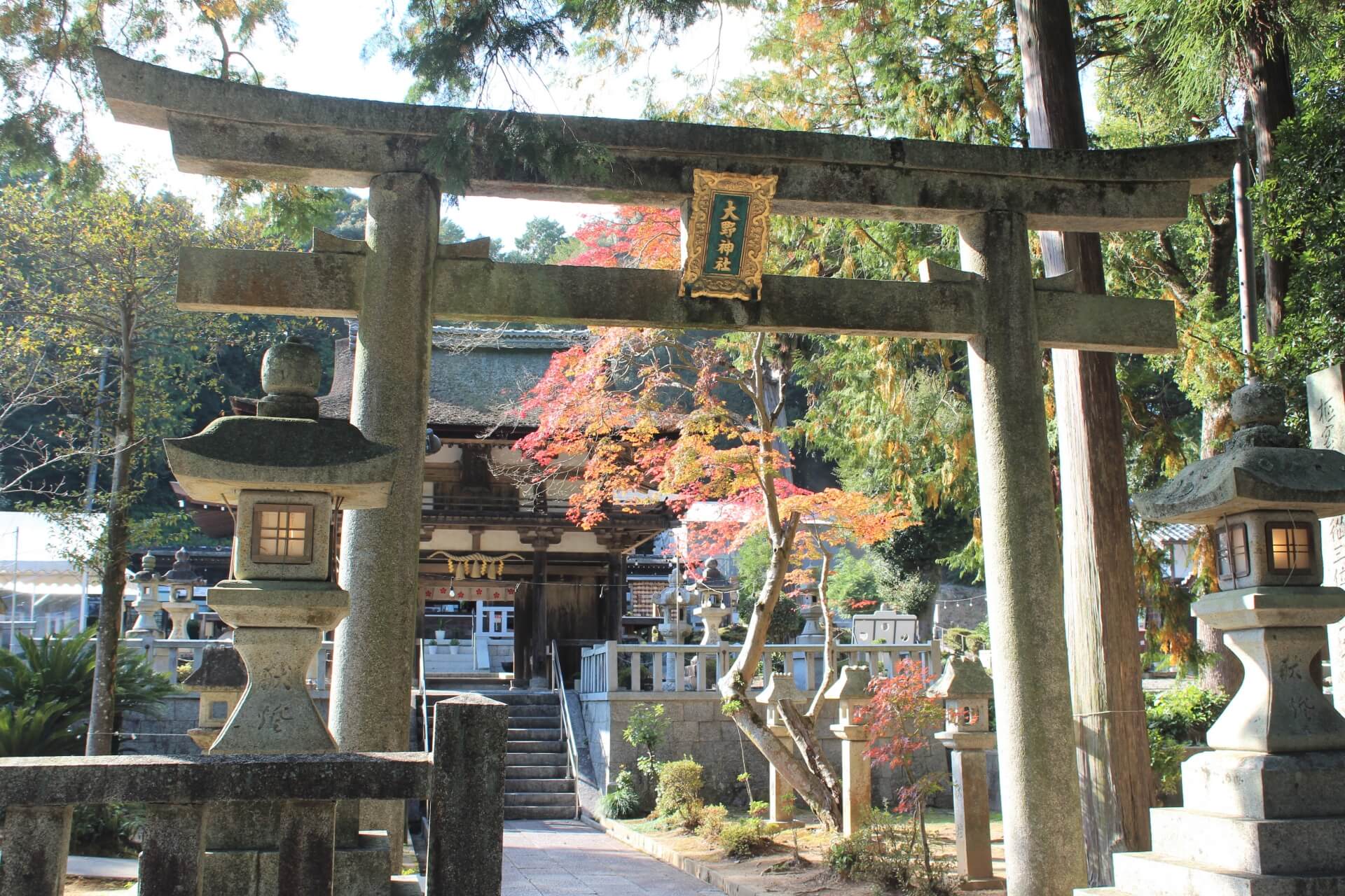 大野神社　鳥居画像